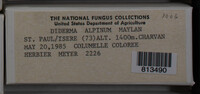 Image Associated With the Occurence